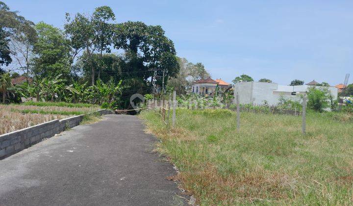 Land::296 M2(2.96 are) super rare ready to build Near kedunggu beach Belalang Village Tabanan Bali  1