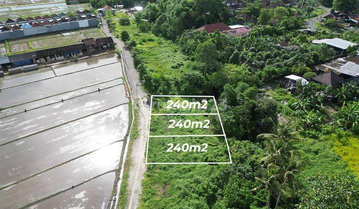 Land: 735 M2 ( 7.35 Are) Super Rare Ready to Build Near Kedunggu Beach In Nyetdah Village Tabanan Bali 1