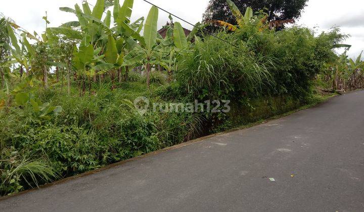 Land: 1160 M2 (11.6 are) super rare ready to be built in Tumbak Bayuh Pererenan Bali  2