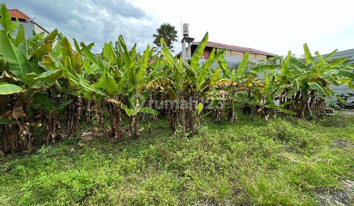 Tanah:150 M2(1,5 are ) super langka siap Bangun Di  Tumbak Bayuh Pererenan Bali  5