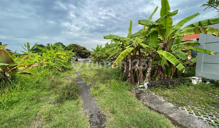 Tanah:150 M2(1,5 are ) super langka siap Bangun Di  Tumbak Bayuh Pererenan Bali  7