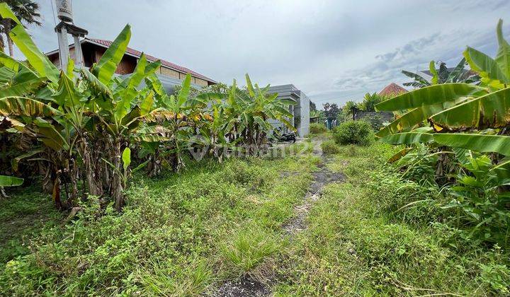 Tanah:150 M2(1,5 are ) super langka siap Bangun Di  Tumbak Bayuh Pererenan Bali  8