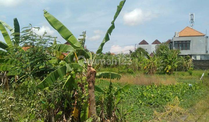 Tanah:1000 M2(10 are) super langka siap Bangun Di gunung salak Kerobokan Bali  5