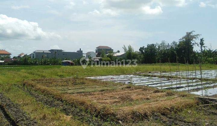Tanah:1000 M2(10 are) super langka siap Bangun Di gunung salak Kerobokan Bali  8
