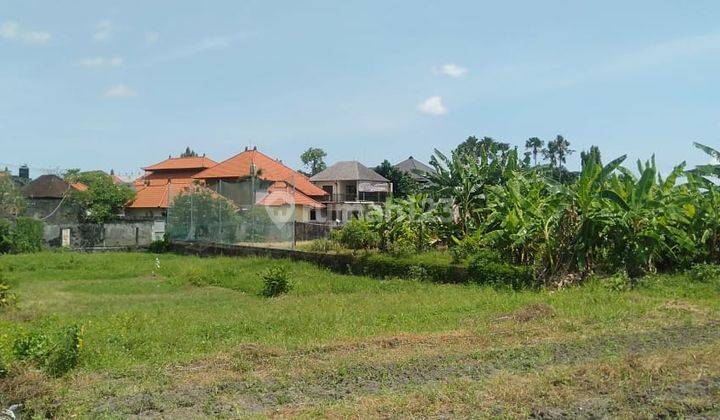Tanah:1000 M2(10 are) super langka siap Bangun Di gunung salak Kerobokan Bali  13
