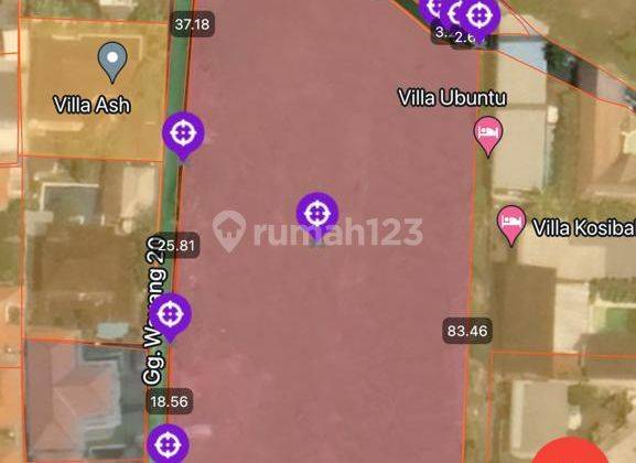 Dijual Tanah:4500 M2(45 are) super langka siap Bangun Di Tegal cupek  Kerobokan Bali  3