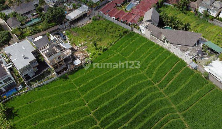 Tanah:450 M2(4,5 are) super langka siap Bangun Di Tibubeneng Canggu Bali  3