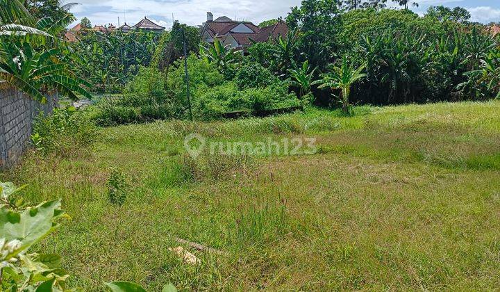 Tanah :400 M2 (4 are) super langka siap Bangun Di Tegal cupek Kerobokan Bali  1