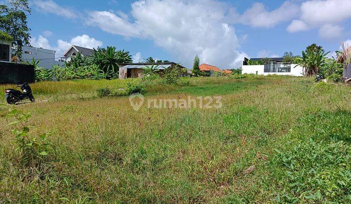 Tanah :400 M2 (4 are) super langka siap Bangun Di Tegal cupek Kerobokan Bali  3