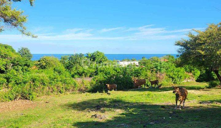 Tanah:2500 M2(25 are) ocean view super langka siap Bangun Di kutuh ,Ungasan Bali  5