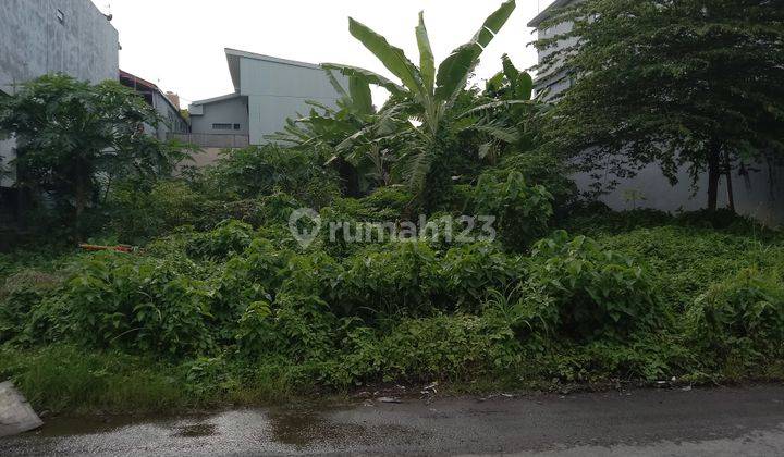 Tanah :420 M2(4,2 are) super langka siap Bangun Di jln utama taman sari Kerobokan bali 8
