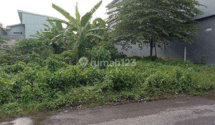 Tanah :420 M2(4,2 are) super langka siap Bangun Di jln utama taman sari Kerobokan bali 14