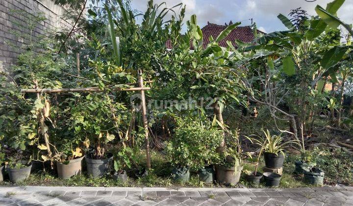 Tanah:200 M2(2 are) super langka siap Bangun Di jln padonan Pegending Dalung Bali  3
