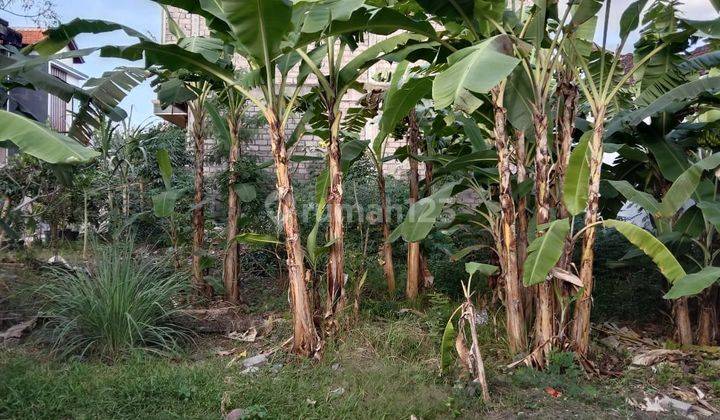 Tanah:200 M2(2 are) super langka siap Bangun Di jln padonan Pegending Dalung Bali  4