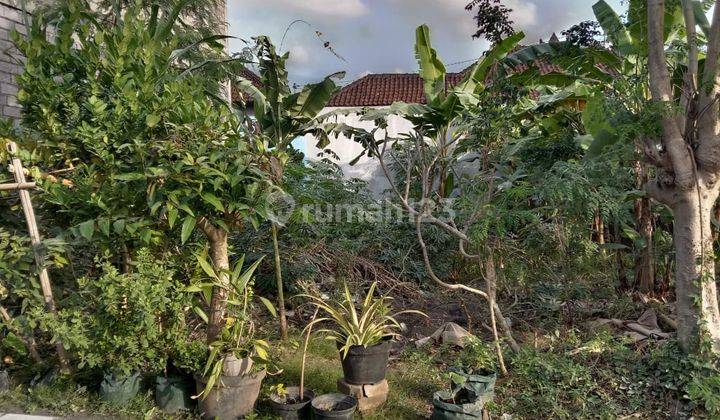 Tanah:200 M2(2 are) super langka siap Bangun Di jln padonan Pegending Dalung Bali  9