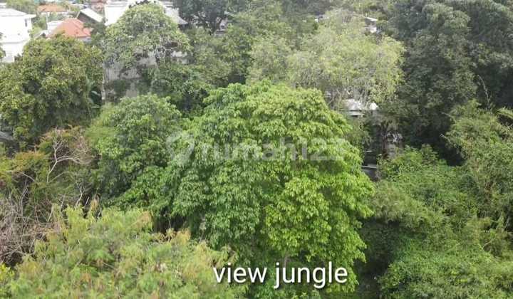 Tanah:770 M2(7,7 are) super langka siap Bangun Di Tegal cupek Kerobokan Bali  4