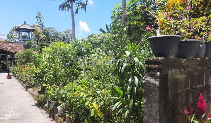 Tanah:250 M2(2,5 are) super langka siap Bangun Di kulibul kawan Desa Tibubeneng Canggu Bali  3