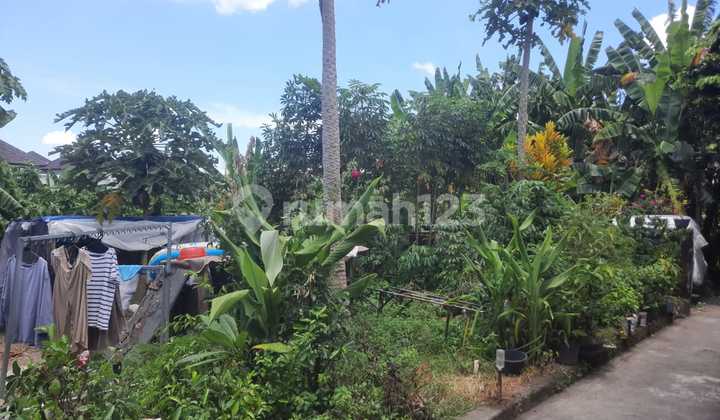 Tanah:250 M2(2,5 are) super langka siap Bangun Di kulibul kawan Desa Tibubeneng Canggu Bali  5