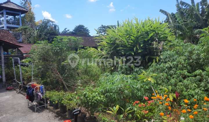Tanah:250 M2(2,5 are) super langka siap Bangun Di kulibul kawan Desa Tibubeneng Canggu Bali  10