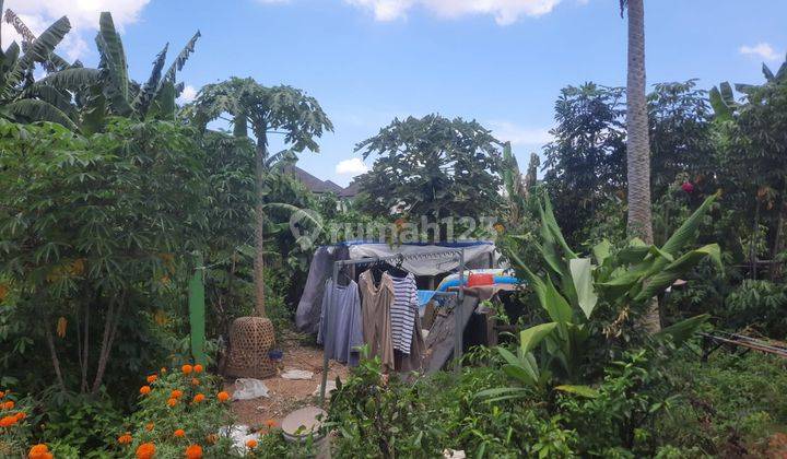 Tanah:250 M2(2,5 are) super langka siap Bangun Di kulibul kawan Desa Tibubeneng Canggu Bali  11