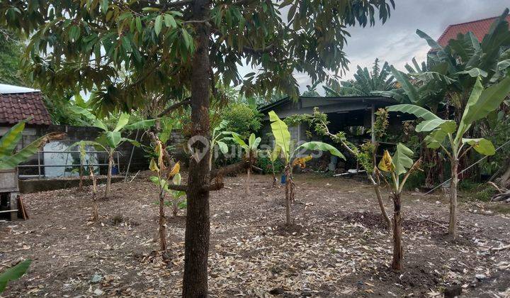 Tanah :400 M2(4 are) super langka siap Bangun Di Kerobokan Bali  4