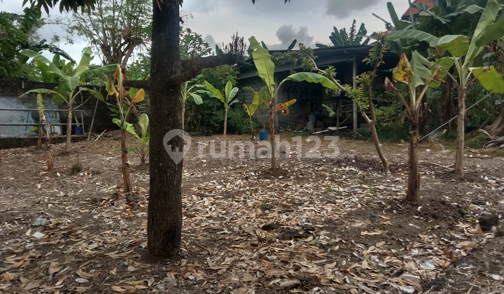 Tanah :400 M2(4 are) super langka siap Bangun Di Kerobokan Bali  9