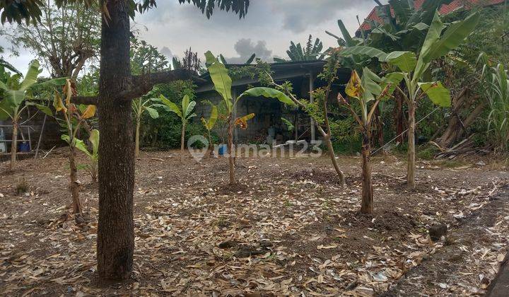 Tanah :400 M2(4 are) super langka siap Bangun Di Kerobokan Bali  10