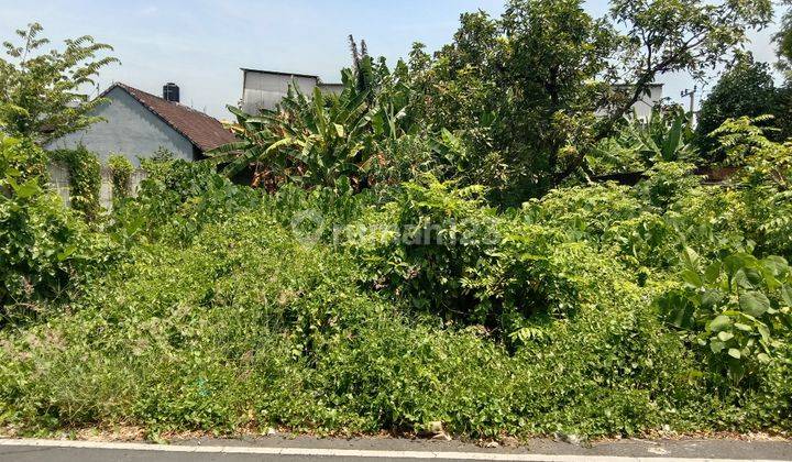 Tanah:440 M2(4,4 are) super langka siap Bangun Dekat sekolahan persada Kerobokan Bali  3
