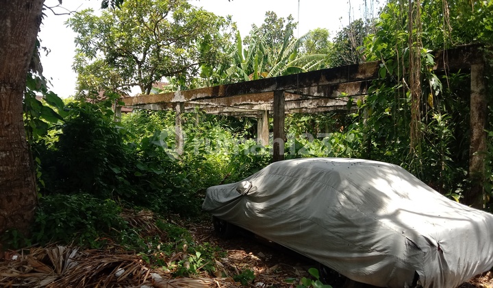Tanah:440 M2(4,4 are) super langka siap Bangun Dekat sekolahan persada Kerobokan Bali  7