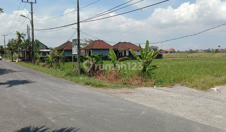 Tanah:1000 M2(10 are) super langka siap Bangun Di jln utama pantai mengening Cemagi Bali  1