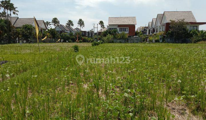 Tanah:1600 M2(16 are) super langka siap Bangun Di pantai mengening Cemagi Bali  2