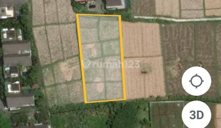 Tanah:1600 M2(16 are) super langka siap Bangun Di pantai mengening Cemagi Bali  3