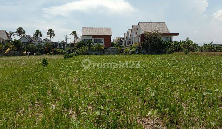 Tanah:1600 M2(16 are) super langka siap Bangun Di pantai mengening Cemagi Bali  8