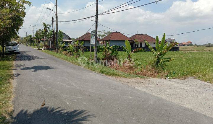 Tanah:1000 M2(10 are) super langka siap Bangun Di jln utama pantai mengening Cemagi Bali  10