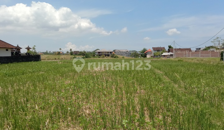 Tanah:1000 M2(10 are) super langka siap Bangun Di jln utama pantai mengening Cemagi Bali  11