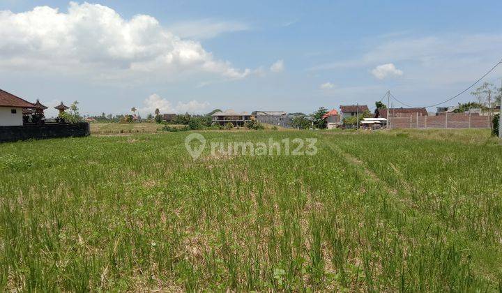 Tanah:1000 M2(10 are) super langka siap Bangun Di jln utama pantai mengening Cemagi Bali  13