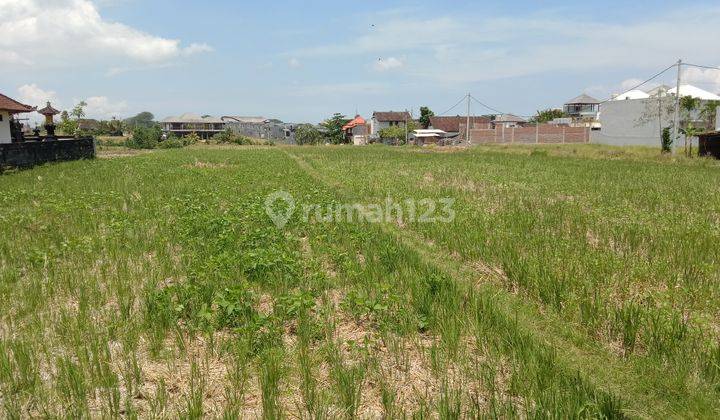 Tanah:1000 M2(10 are) super langka siap Bangun Di jln utama pantai mengening Cemagi Bali  14
