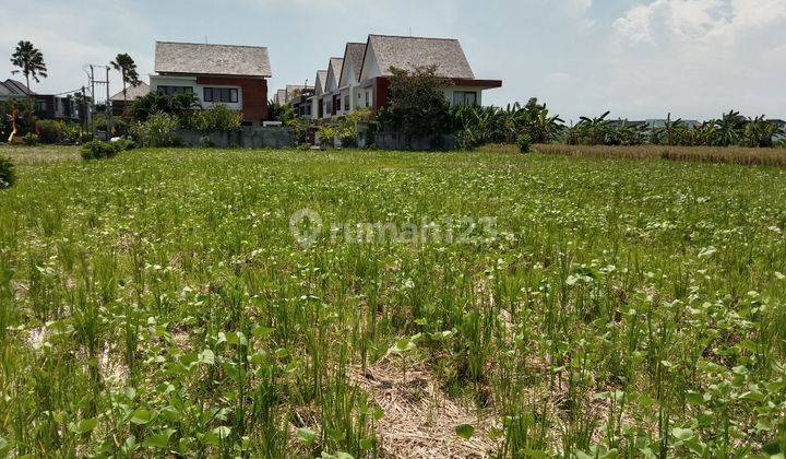 Tanah:1600 M2(16 are) super langka siap Bangun Di pantai mengening Cemagi Bali  13