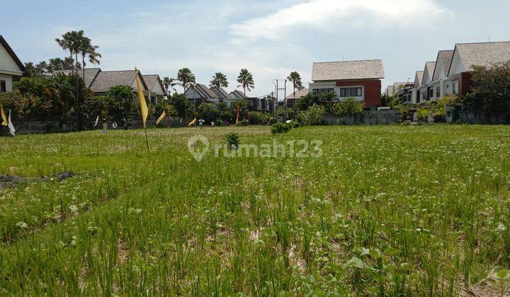 Tanah:1600 M2(16 are) super langka siap Bangun Di pantai mengening Cemagi Bali  14
