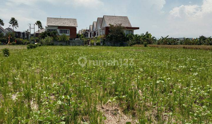 Tanah:1600 M2(16 are) super langka siap Bangun Di pantai mengening Cemagi Bali  15