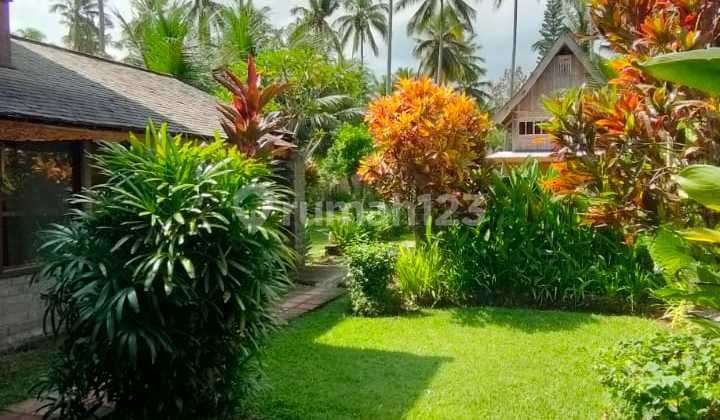 Villa los pantai super langka siap Huni Dekat Balian beach Tabanan Bali  21