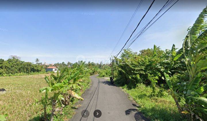 Tanah:3580 M2(35,8 are) super langka siap Bangun Di Tumbak Bayuh  Pererenan Bali  1