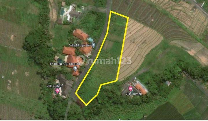 Tanah:3580 M2(35,8 are) super langka siap Bangun Di Tumbak Bayuh  Pererenan Bali  6