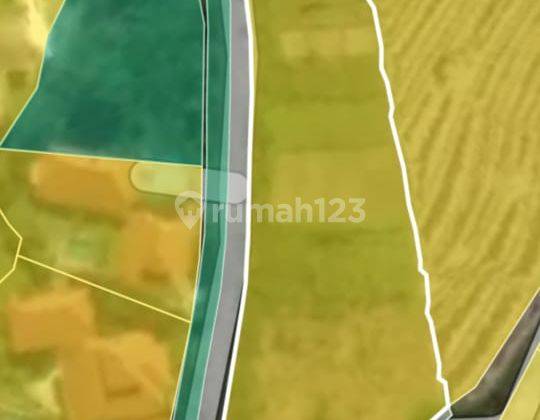 Tanah:3580 M2(35,8 are) super langka siap Bangun Di Tumbak Bayuh  Pererenan Bali  11