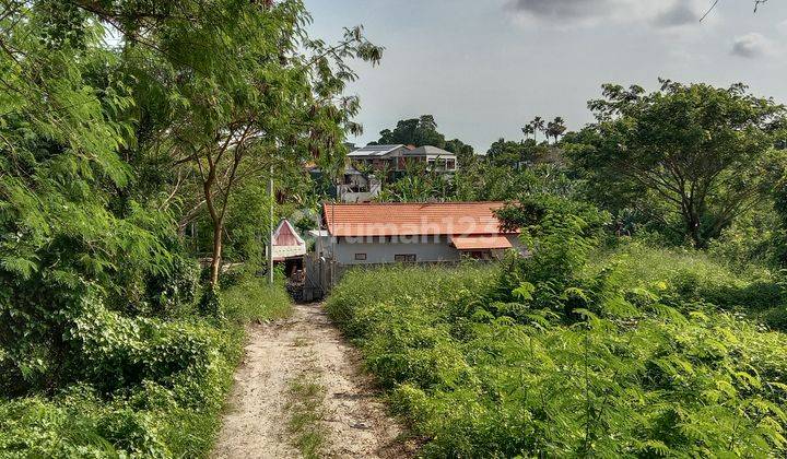 Tanah:1800 M2(18 are ) super langka siap Bangun Di kulibul kawan Tibubeneng Canggu Bali  2