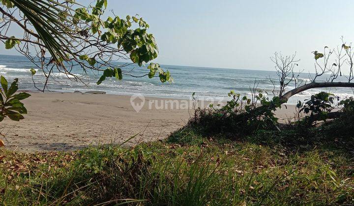 Tanah:10 000m2(1 hektar ) los pantai super langka siap Bangun Di pantai pekutatan negara / Jembrana bali 2