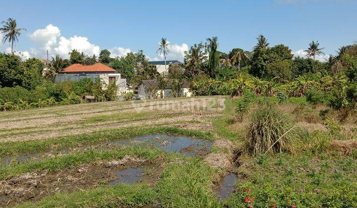 Land: 3580 M2 (35.8 are) super rare ready to be built in Tumbak Bayuh Pererenan Bali  2