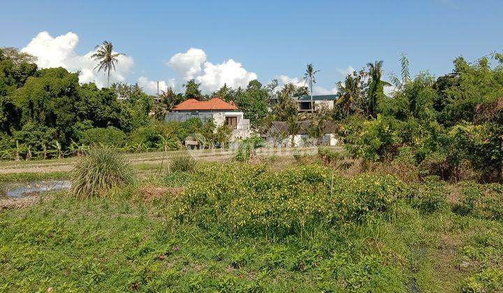 Land: 3580 M2 (35.8 are) super rare ready to be built in Tumbak Bayuh Pererenan Bali  1