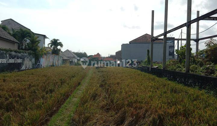 Tanah:4000 M2(40 are) super langka siap Bangun Di pantai Berawa Canggu Bali  2