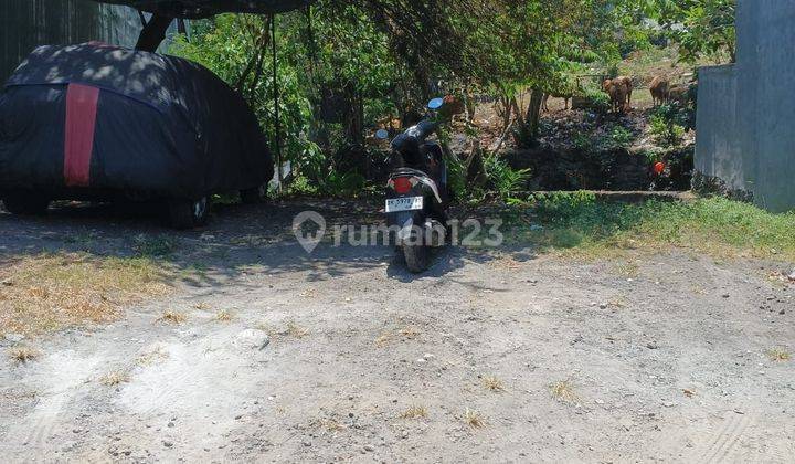Tanah:200 M2(2 are) super langka siap Bangun Di perumahan swamandala dekat Bali TV  jln kebo Iwa Utara Padang Sambian Kaja Bali  1